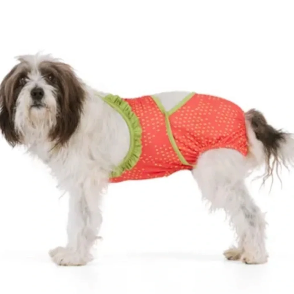 NWT strawberry dog swim bathing suit XS